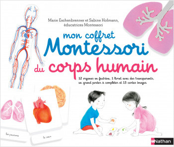 Mon coffret Montessori du corps humain - 6/9 ans