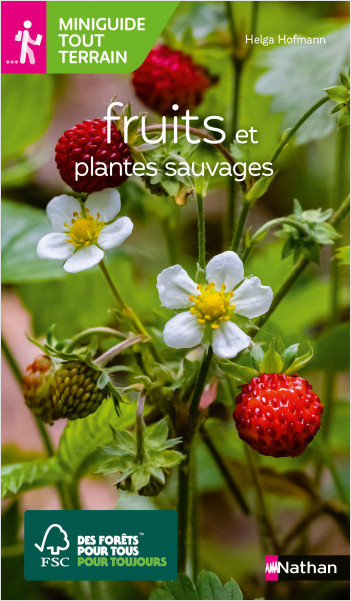 Fruits et plantes sauvages - Miniguide nature tout-terrain 