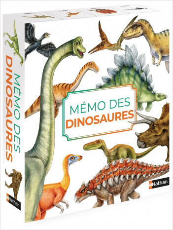Mémo des dinosaures - Un jeu de memory pour apprendre en s%7amusant en famille - Dès 4 ans