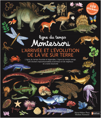 Ligne du temps Montessori - L'arrivée et l'évolution de la vie sur Terre - 2 grandes frises Montessori de 2,5 mètres + stickers repositionnables 
