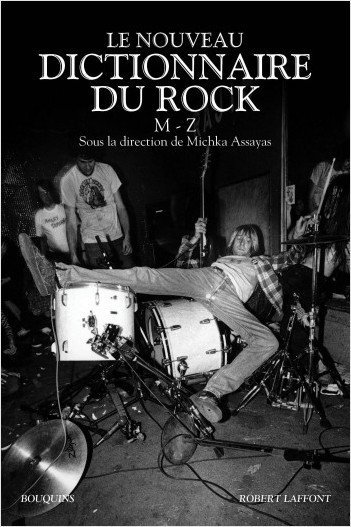Le Nouveau Dictionnaire du rock - Tome 2