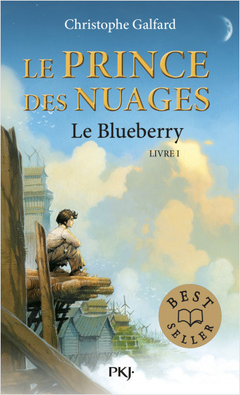 1. Le Prince des Nuages : Le Blueberry