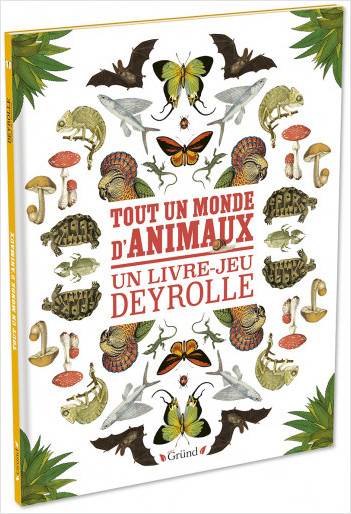 Tout un monde d'animaux :  Un livre-jeu Deyrolle