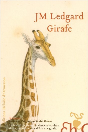 Girafe                                            
