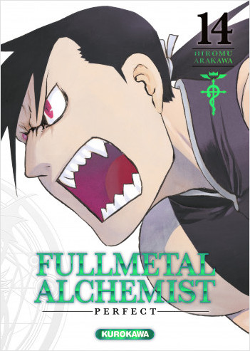 Fullmetal Alchemist Perfect T14
