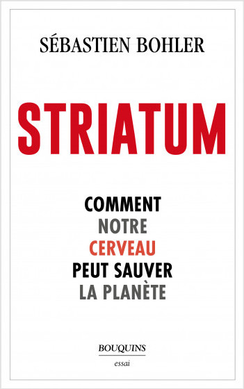 Striatum