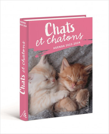 Agenda scolaire 2024-2025 Chats et Chatons