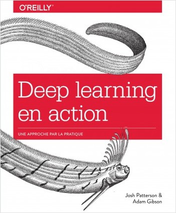 Deep learning en action - Une approche par la pratique - collection O'Reilly