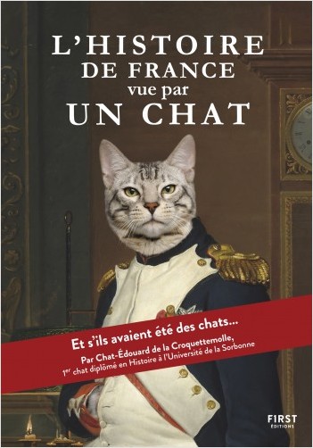 L'Histoire de France vue par un chat - et si les Gaulois, Charlemagne, Napoléon ou encore notre président actuel avaient été des chats ?