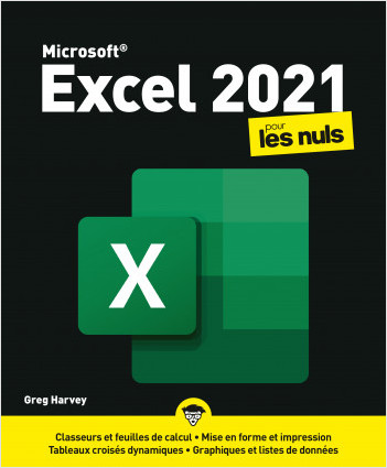 Excel 2021 pour les Nuls, grand format