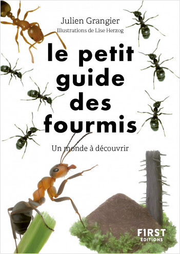 Le Petit guide des fourmis