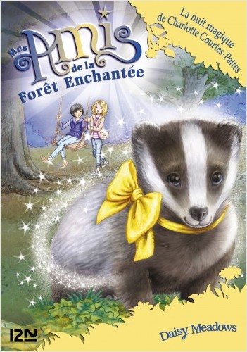 Mes Amis de la forêt enchantée - tome 15 : La nuit magique de Charlotte Courtes-Pattes
