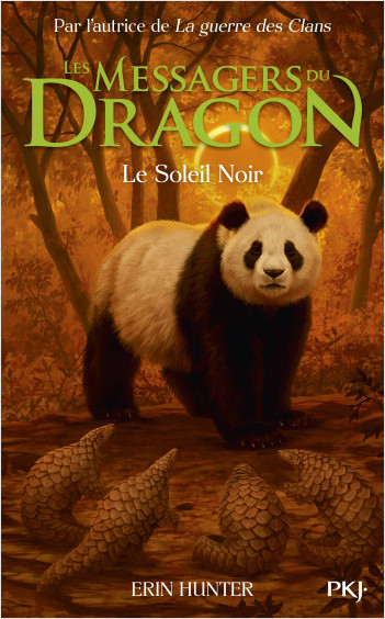 Les messagers du dragon - tome 04 :  Le Soleil Noir
