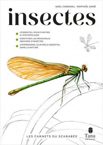 Les Carnets du Scarabée - Insectes - Guide pratique illustré pour découvrir l'entomologie en amateur. Identifier les grands groupes et les bases de leur écologie, sortir sur le terrain et identifier